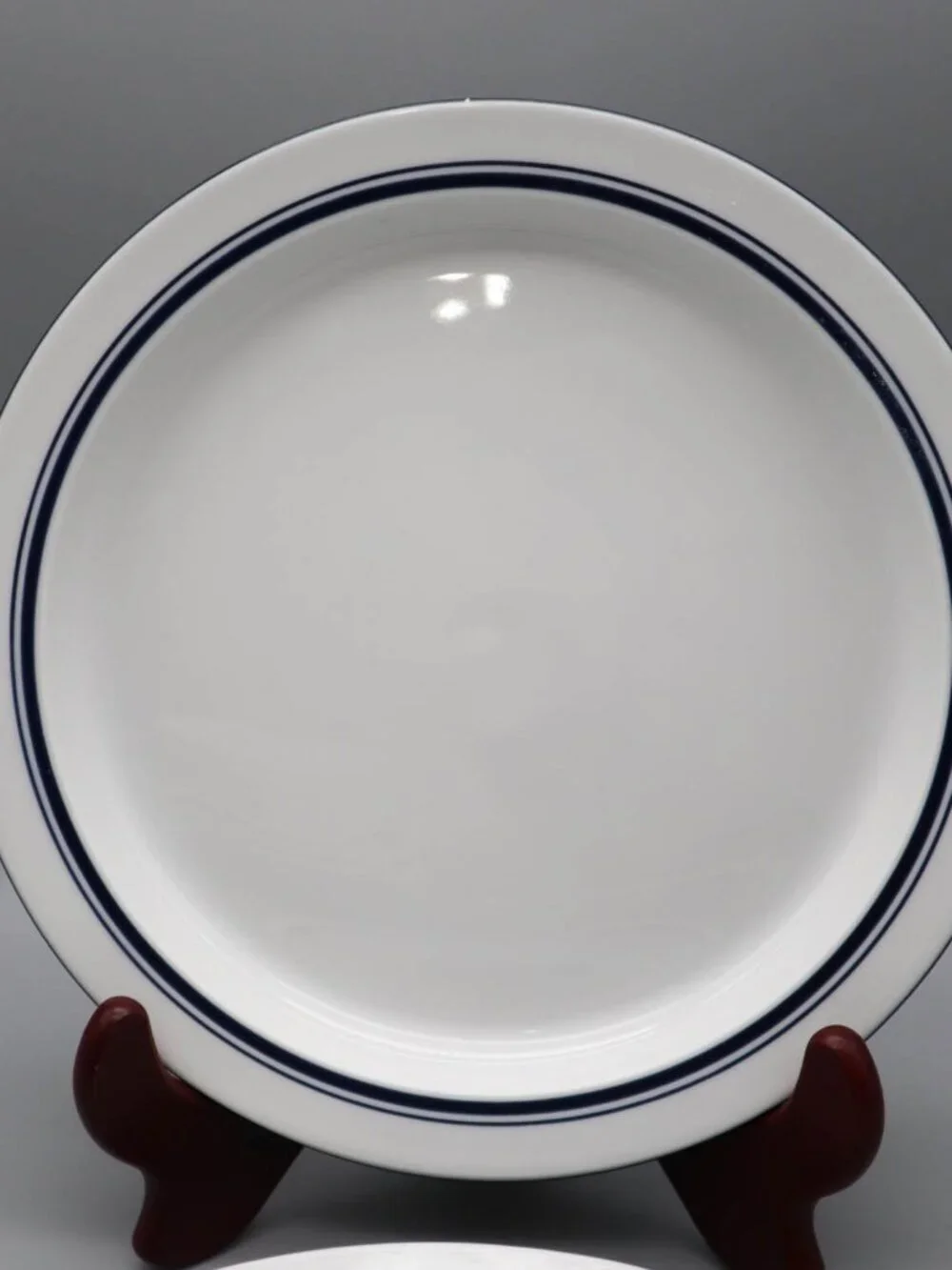 2 Dansk Bistro Christianhavn Blue Rimmed Salad Plates Blue Stripe 8 3/4